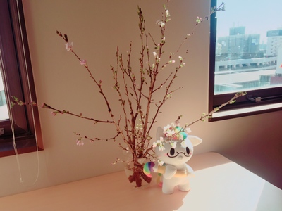 【浜松】桜！！！！