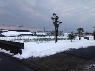雪の名残～鹿児島街角風景～